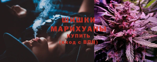 ешки Осинники
